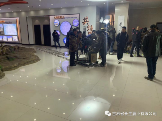 1608187564536809.png image.png