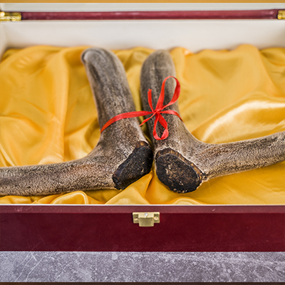 1619502330139680.jpg 蠟片.jpg