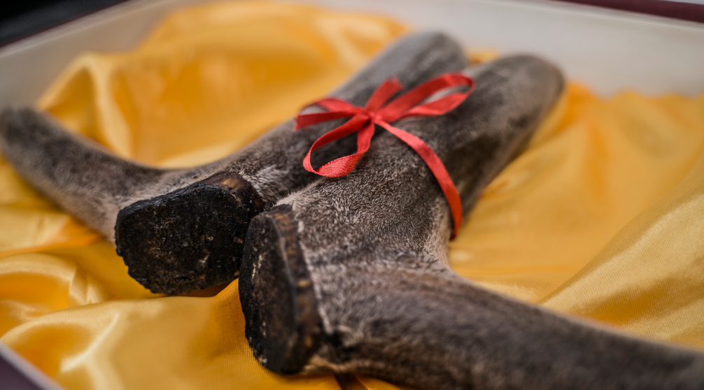 1619502353612735.png image.png