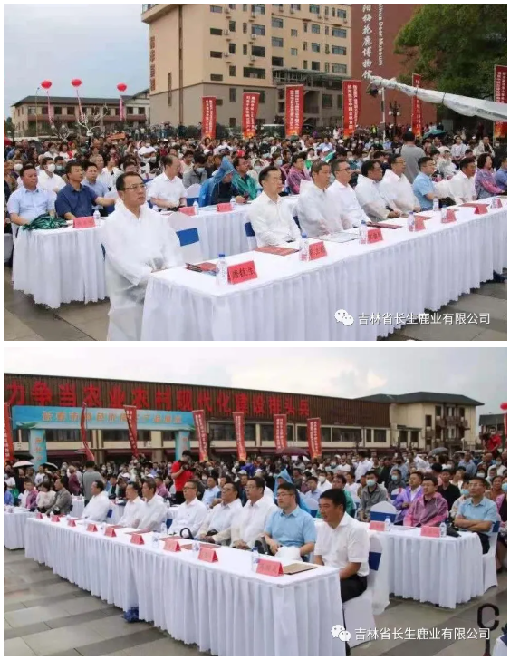 1625813148678076.png image.png