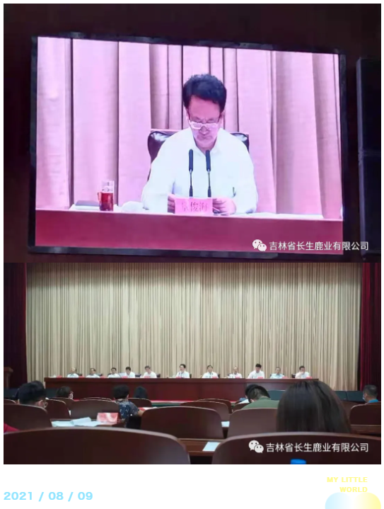 1628490126755308.png image.png