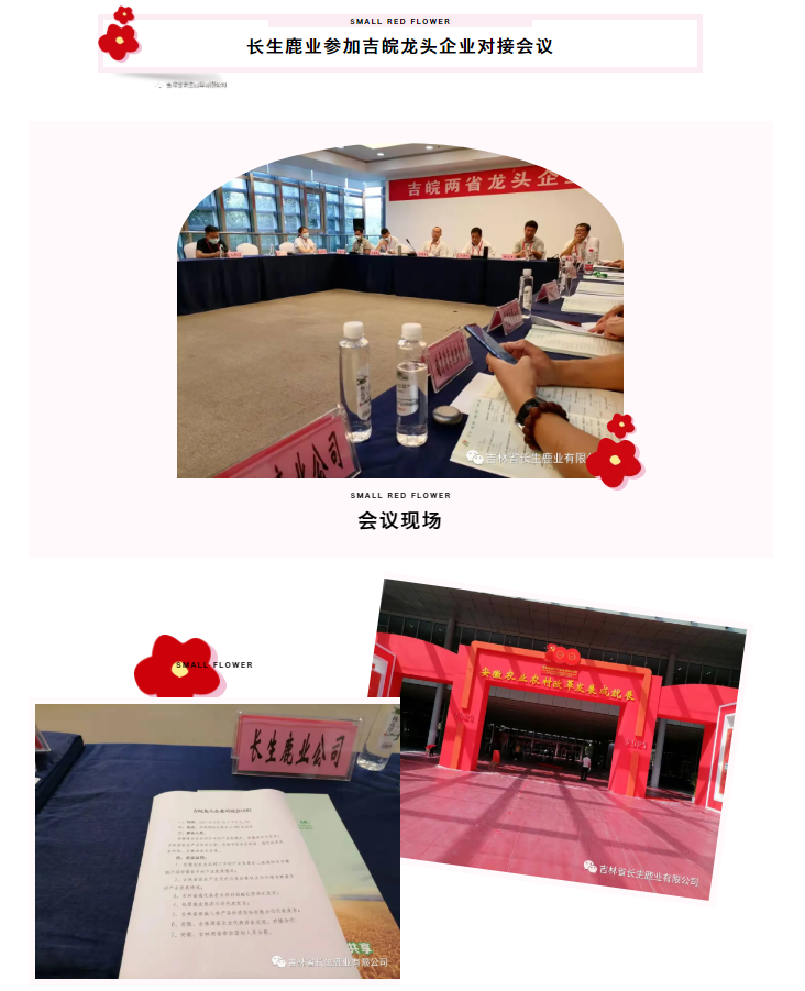 1634031233164840.png image.png